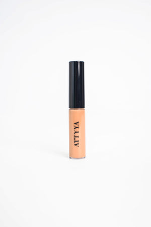 Concealer C45