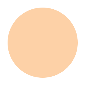 Dual Powder C25