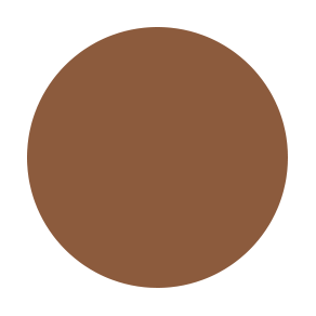 Concealer N11